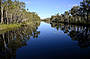 Everglades Eco Safari with lunch